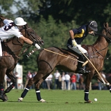 Photoscience - Polo and Wedding photographers in Hampshire Surrey and Sussex